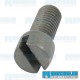 Screw, Brake Shoe Adjuster, Front or Rear, Left or Right