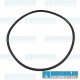 Headlight Seal, Headlight Trim to Fender, Left or Right